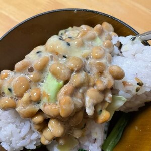 ごま油香る☆キャベツ入ピリ辛納豆飯